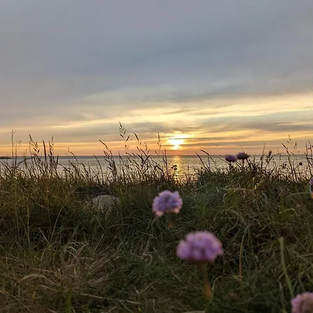 Tranquil Oasis By Fjord - By Traum *