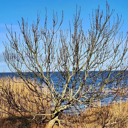 Tranquil Oasis By Fjord - By Traum Tatil Evi